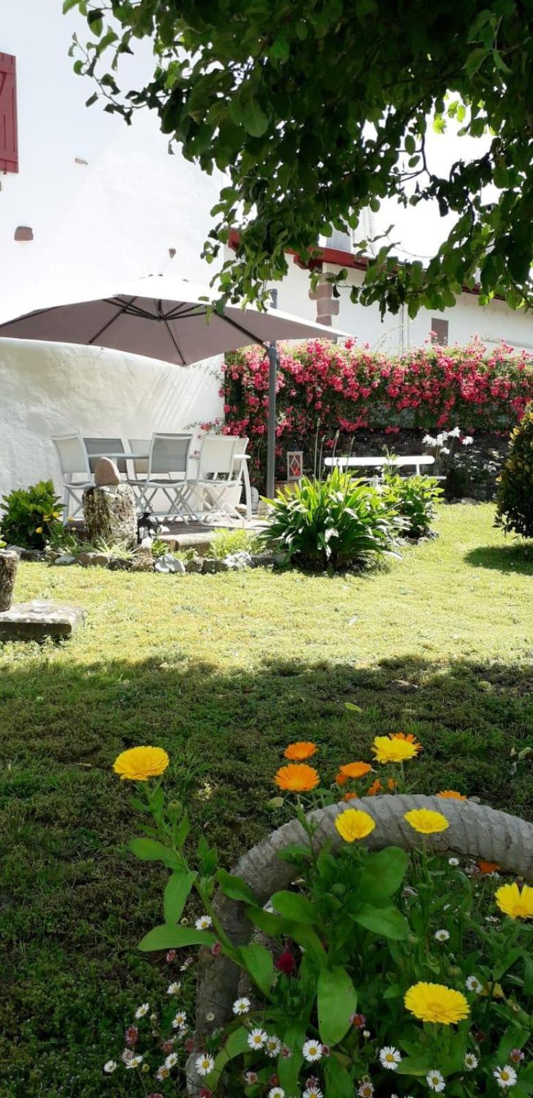Ispoure Maison Bidegain Berria المظهر الخارجي الصورة